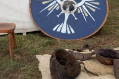vikings-003
