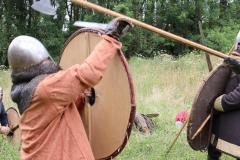 vikings-004