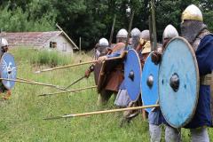 vikings-007
